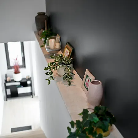 Big Sky Apartman Zadar
